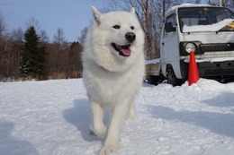 む まるこ