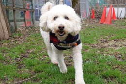 は たける4.27→5.26