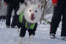 に　つらら