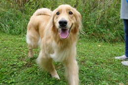 ま　チューロ　９・２９→１０・１