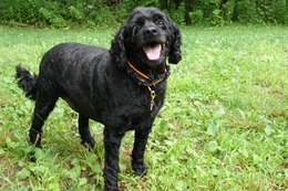 さ　しょう　８・１８→８・２７