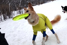 く　ララ
