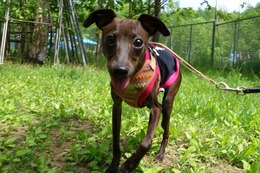 ひ タロ新9ヶ月