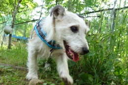 な　チロル　7.21