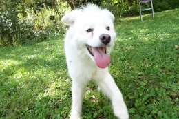 み ウィン 9.6→9.7