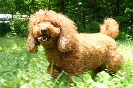 に　ココ　6.24→7.4