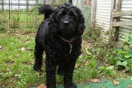 さ　しょう　９・２９→１０・２