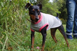 う　レモン　8.29