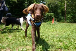 た　空　新１歳