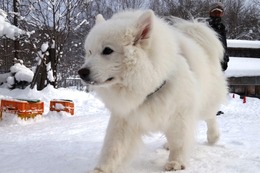 な　福　１・２５→１・３１