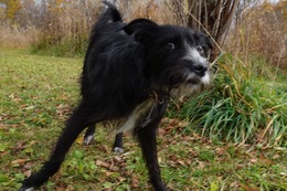 の　エカチェリーナ　１０・３１→１１・２１