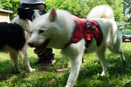 に　つらら　7.9→7.12