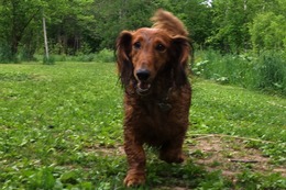 あ Qu 6・2→6・3