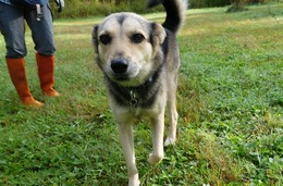 ふ 平蔵 9.24→10.27