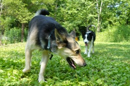 ふ 平蔵7.9→8.9