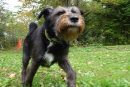 さ　こたろう　９・２９→１０・２