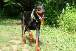 き ティア 7.19→9.26