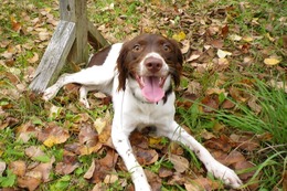 や ティナ11ヶ月新