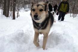 ふ 平蔵 2・17→2・18