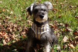 た　さつき　新4か月