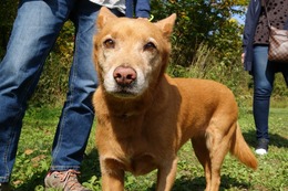 か　キャラメル