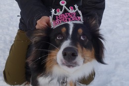 や　アントワン　1歳誕生記念