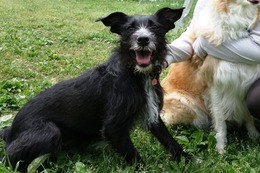 の エカチェリーナ 6・1→6・3