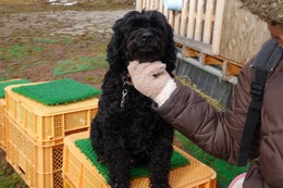 さ　しょう　１１・２４→１１・２７