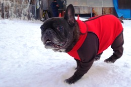 み がんも 1・13→2・24