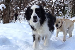 ご　ソラ　１・２１→１・３１