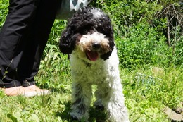 に　ふく　7.17→8.2