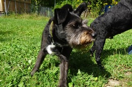 さ こたろう 8・16→8・28