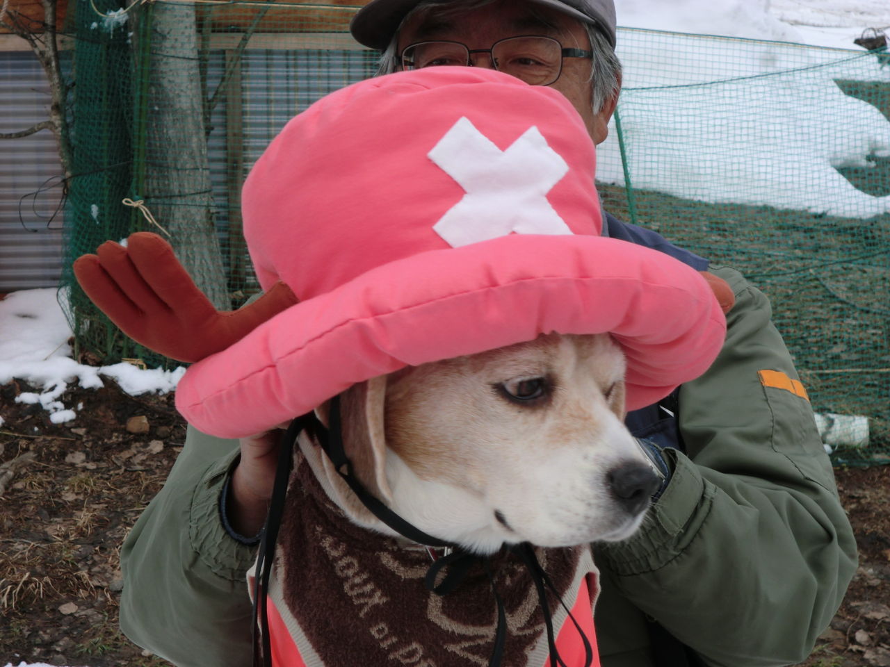 チョッパーがいっぱい 犬と森林浴 大雪山麓のドッグラン日記