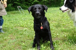 に　ブリンクリー