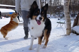 や　アントワン