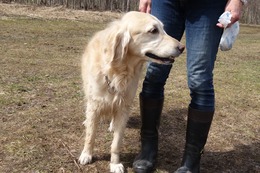 ま 小春 4・18→10・29