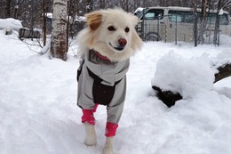 た　ゆき　新１歳
