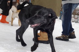 こ　ラキ　新８カ月