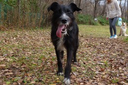 の エカチェリーナ 10・31→11・19