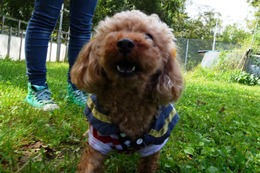 お　杏　昨９・２→６・２５