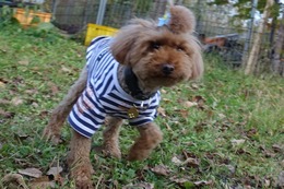 こ　翔太　新７歳