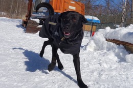 に　ブリンクリー