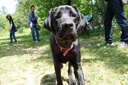 お　ツクネ　新８か月