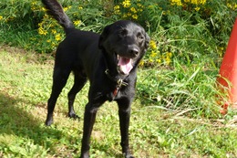 に　ブリンクリー　8.29