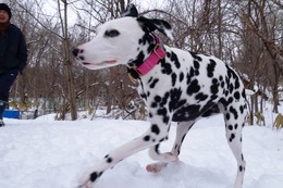 な　ベル　２・２４→２・２６