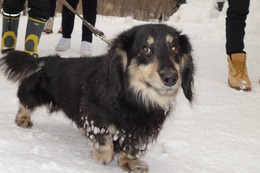 み ルーク 新5歳