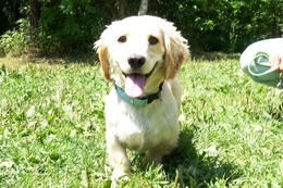 も　空　新２歳