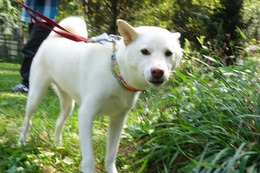 ま うたまる 8.26→9.26