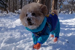 や　らんまる