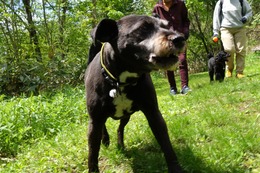 さ　こたろう　5.28→5.29